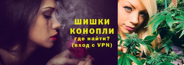 крисы Вязьма