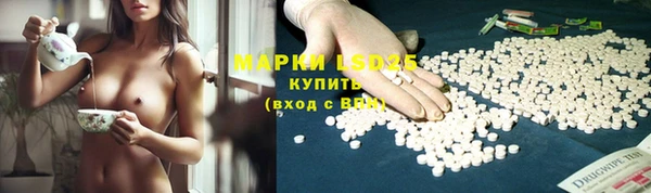 гидра Вязники