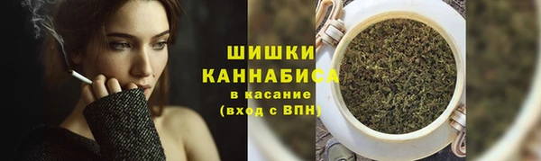 гидра Вязники