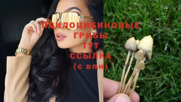 крисы Вязьма