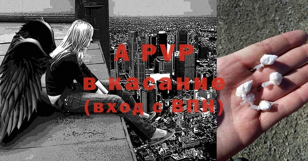 крисы Вязьма