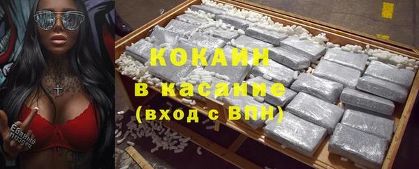 крисы Вязьма
