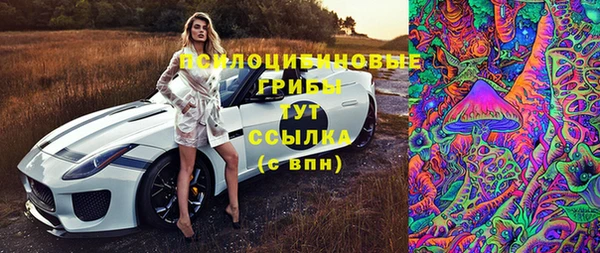 гидра Вязники