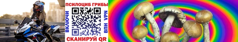 Галлюциногенные грибы GOLDEN TEACHER blacksprut сайт Благовещенск цены наркотик
